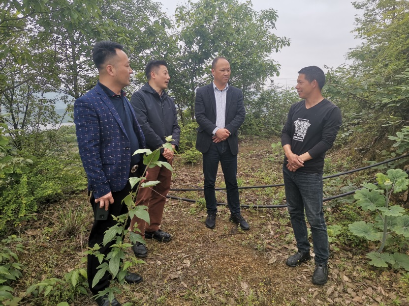 1619334534245411.png 圖片1.png