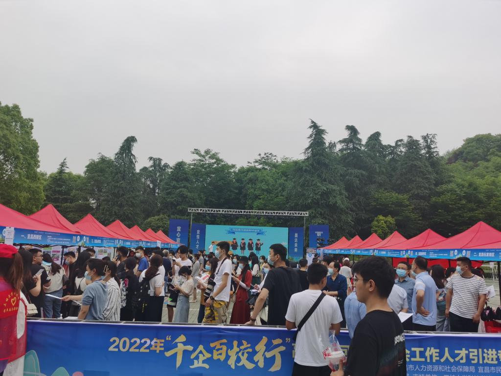 1654066838954127.jpg 1654066838954127.jpg